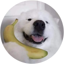 Paweł Fidura Paweł Fidura