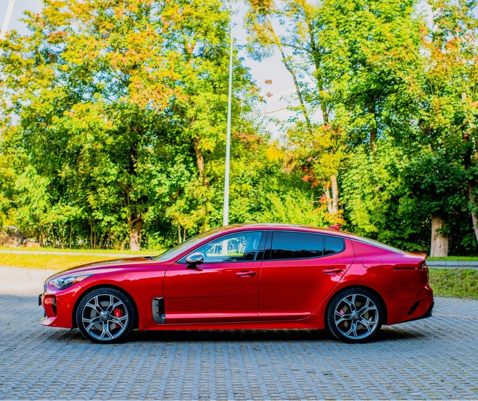 stinger6 - DriveWithIt